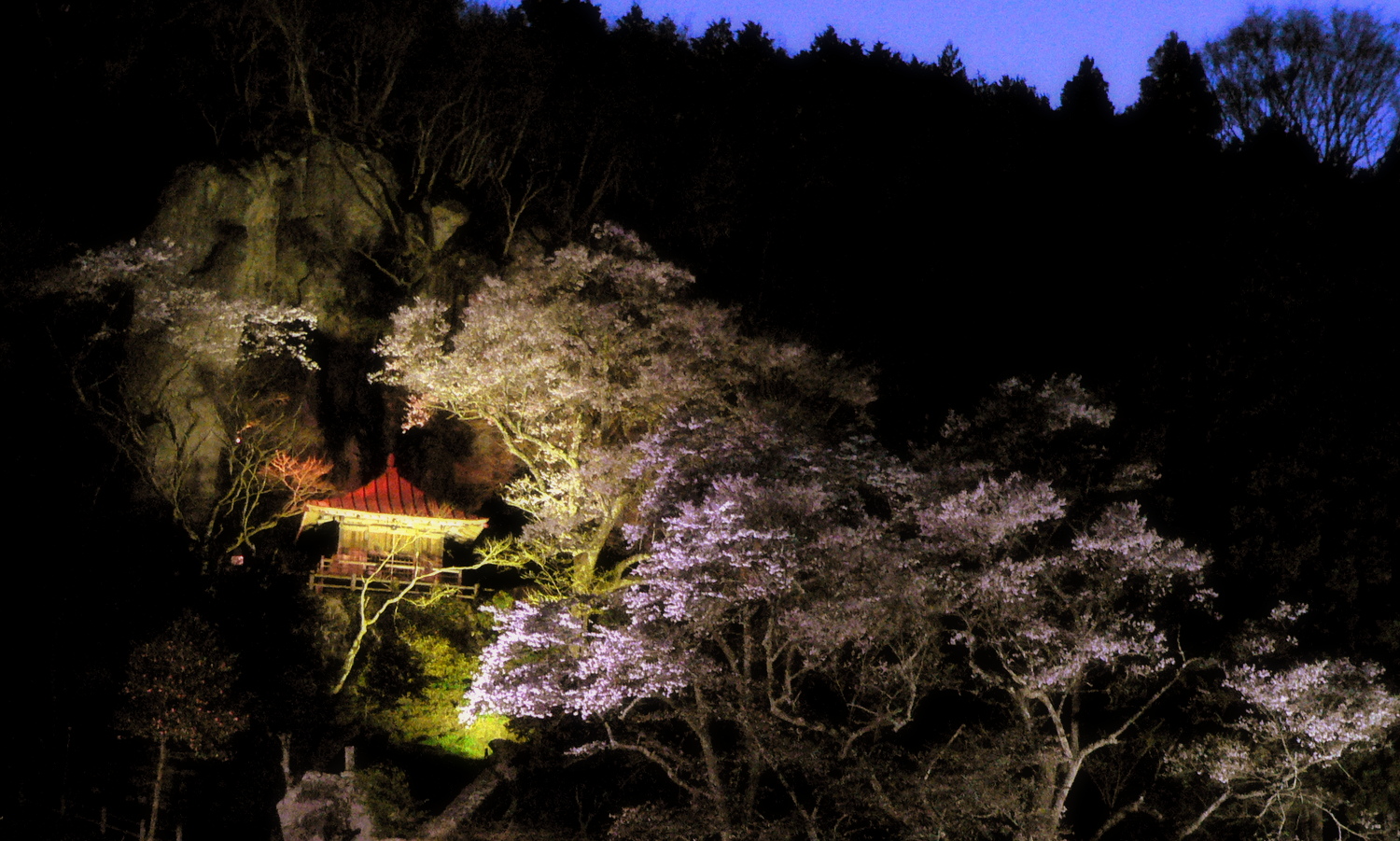 那須町・堂の下の岩観音はライトアップで浮かび上がる